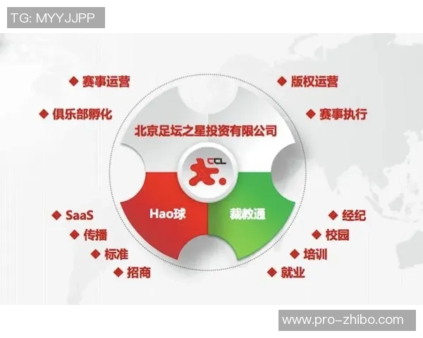 足球三大联赛的魅力与影响力解析以及未来发展趋势探讨